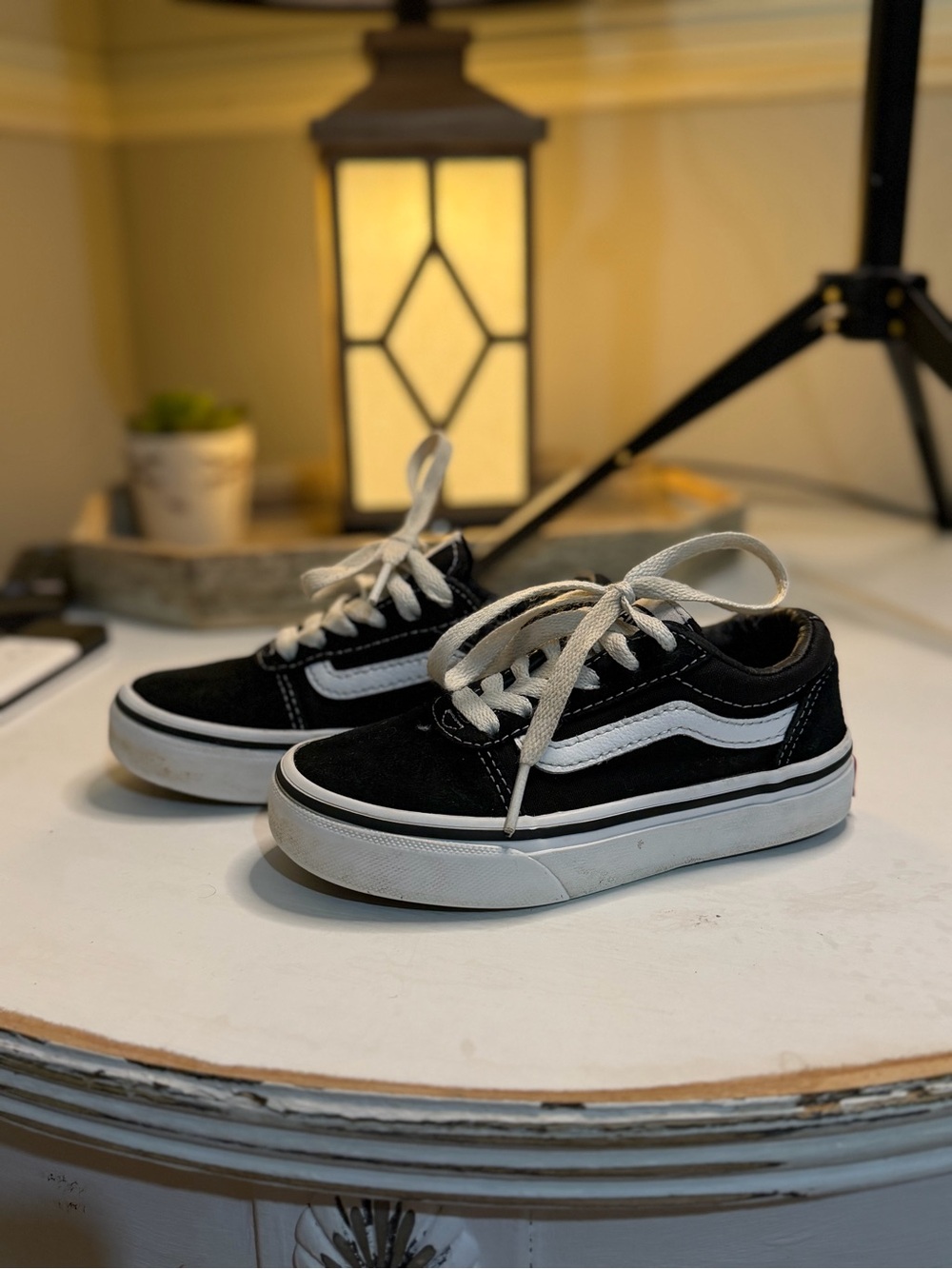 Vans Black and White Low-Top Skate Shoes